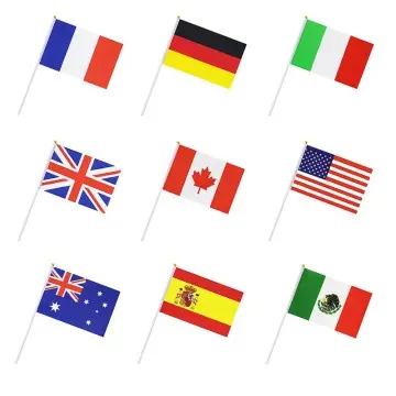 Country Hand Flags With Plastic Flag Pole