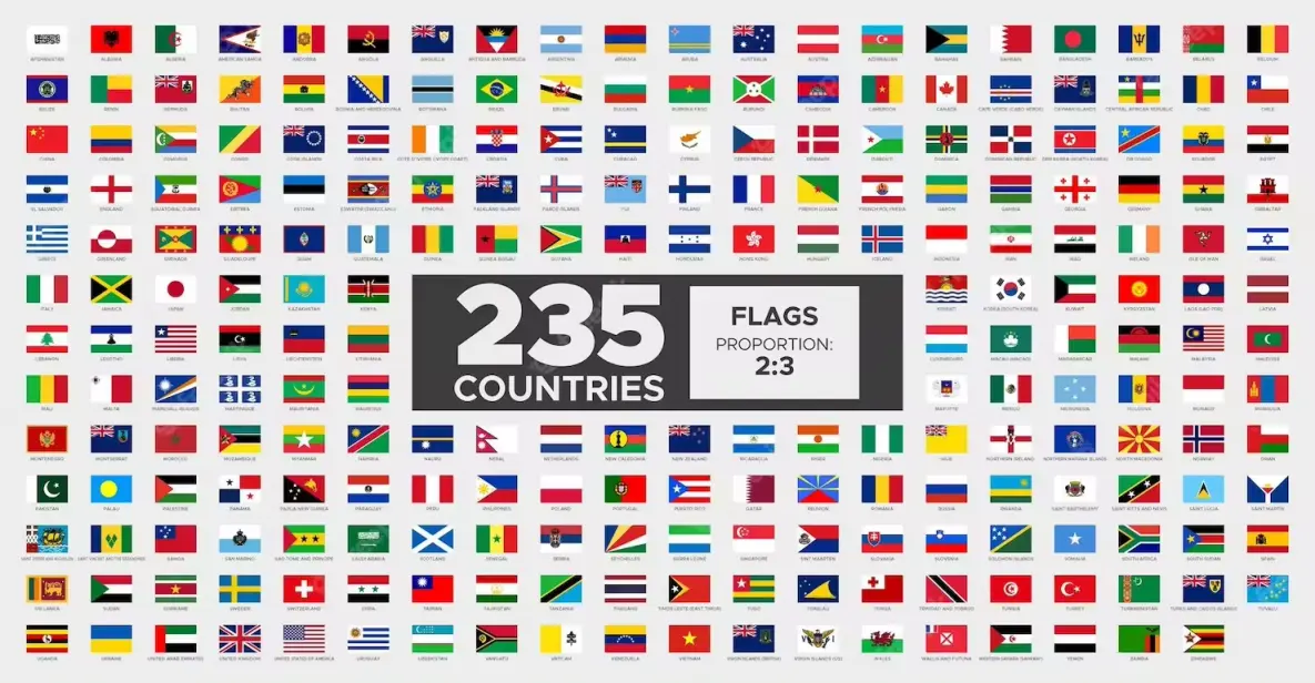 Custom Standard Flags from Disitu company5.png