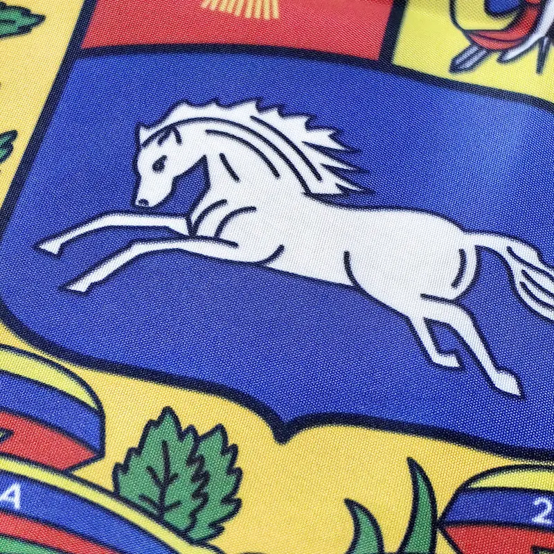 Venezuelan nylon flag 4 .jpg