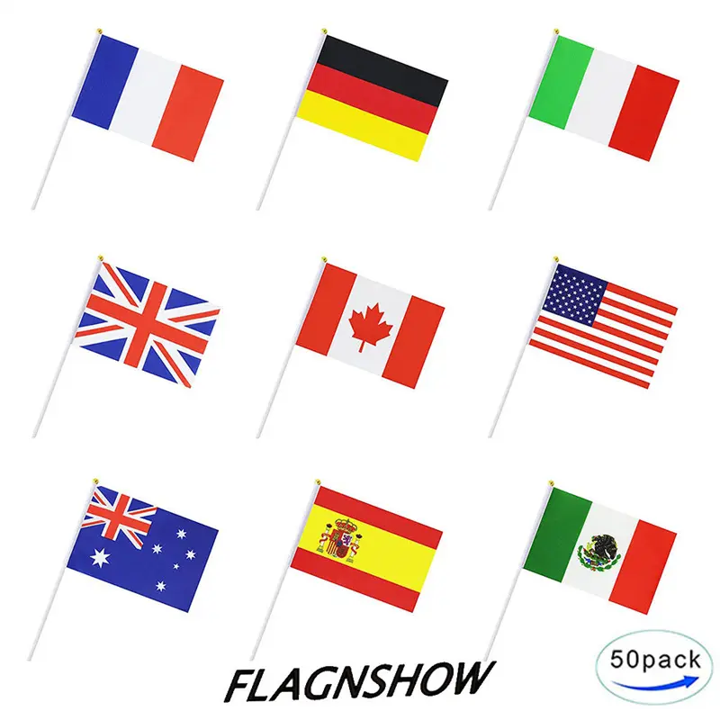 4-hand held plastic flag pole
