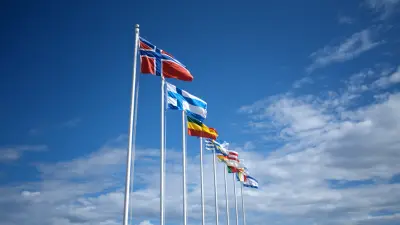 How to Select the Perfect Flag Pole for Your House Installation Guide
